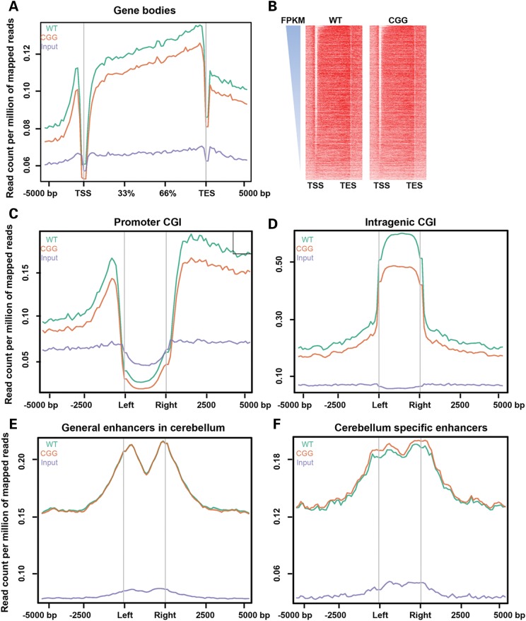 Figure 2.