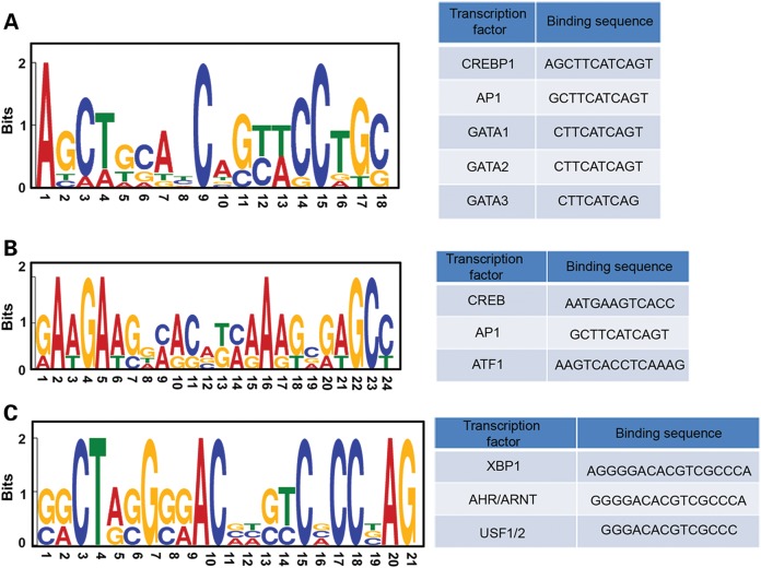 Figure 4.