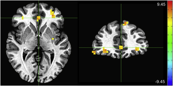 Supplementary Fig. S3