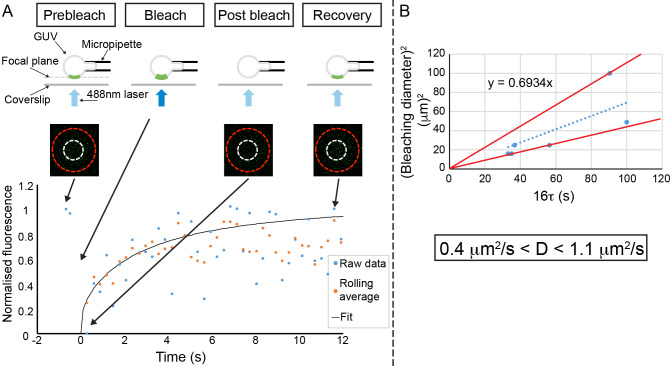 Figure 2—figure supplement 1.