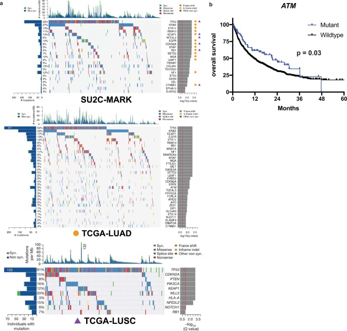 Extended Data Fig. 2