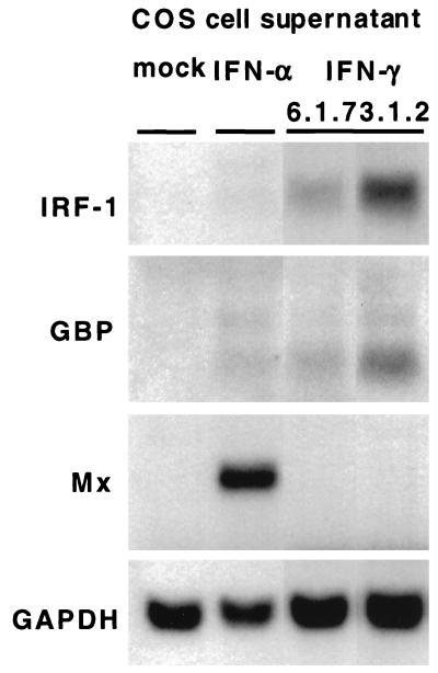 FIG. 5