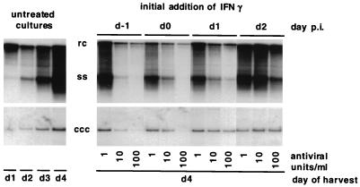 FIG. 6