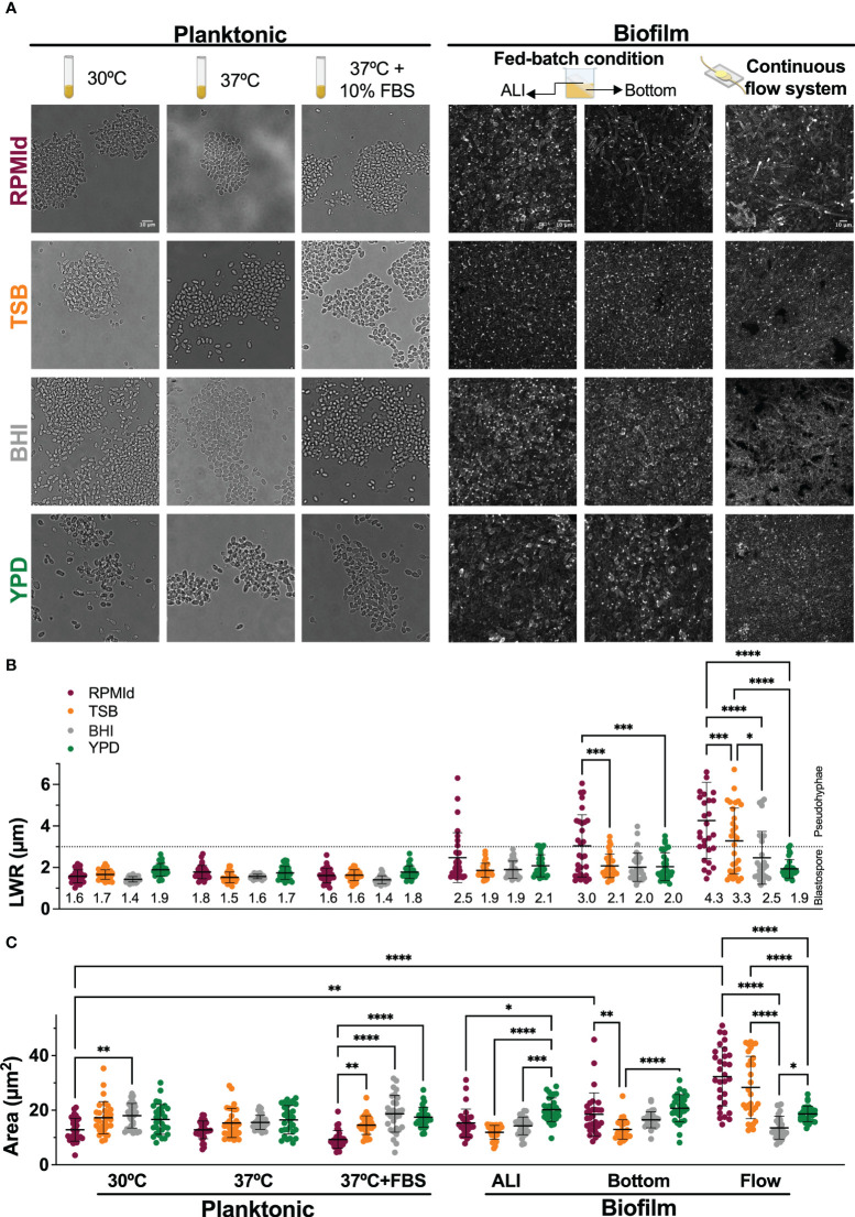 Figure 2