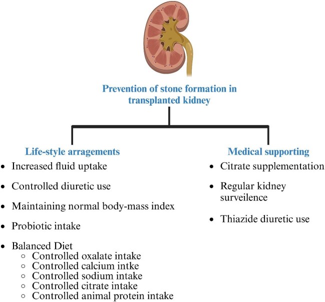 Figure 4: