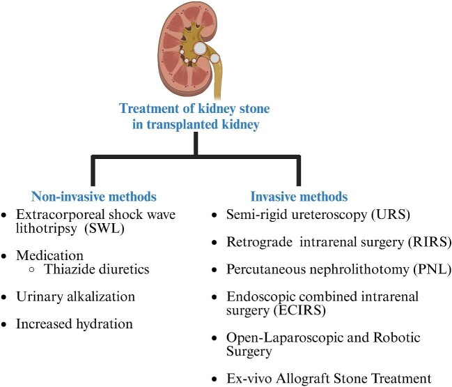 Figure 3: