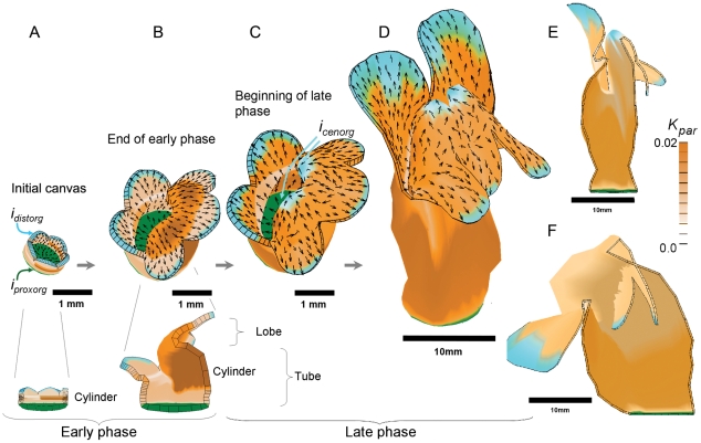 Figure 7