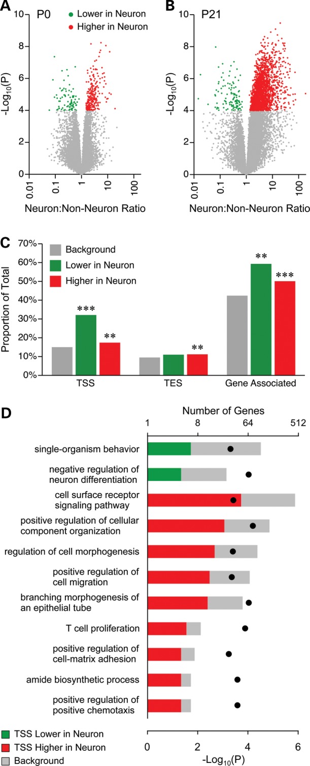 Figure 2.