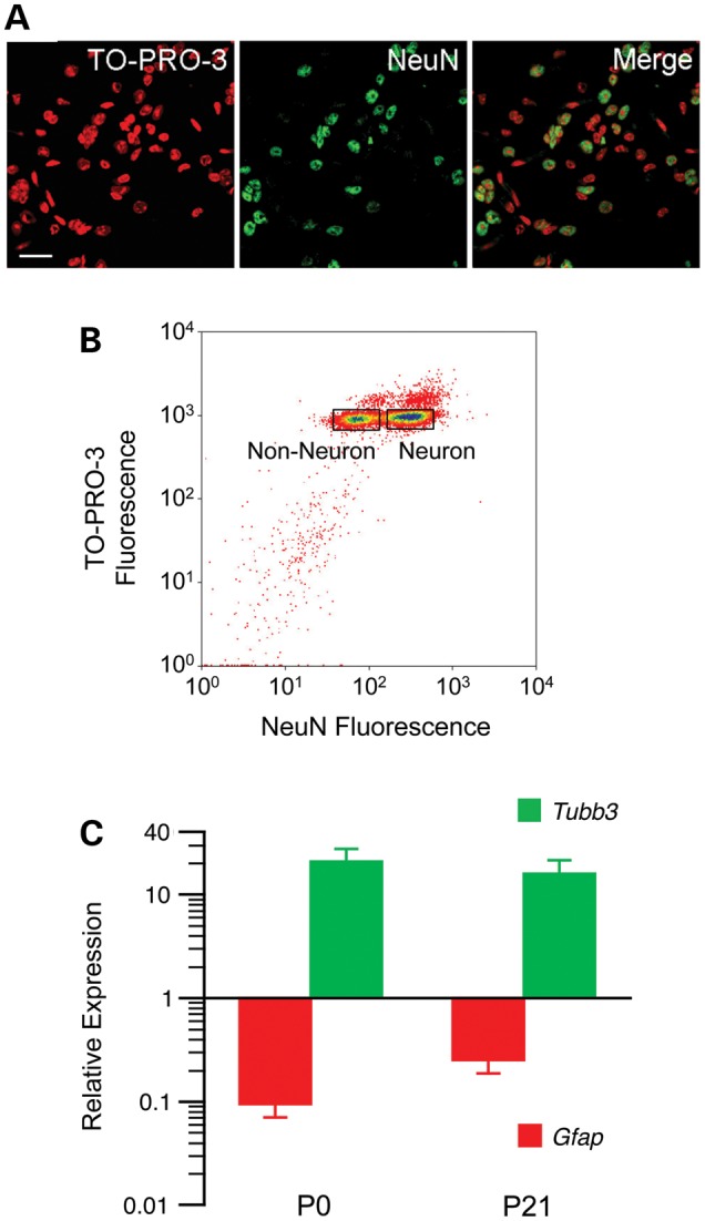 Figure 1.