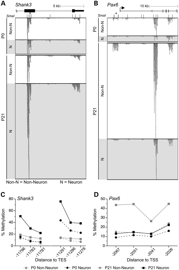 Figure 4.