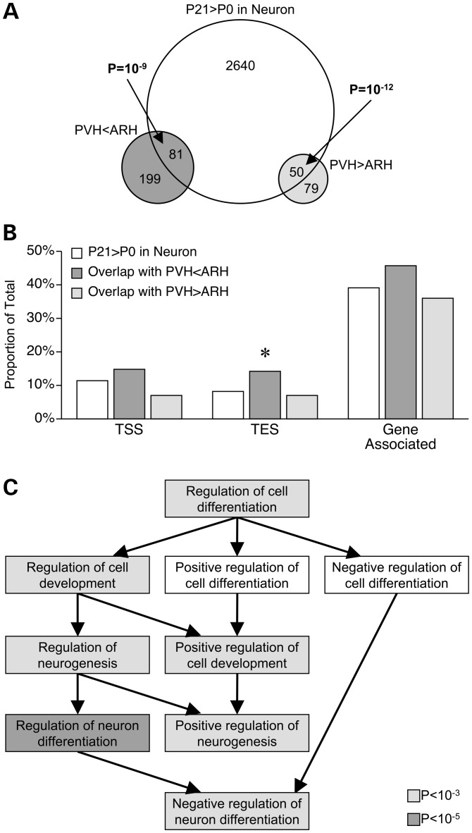 Figure 6.