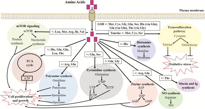 Figure 2.