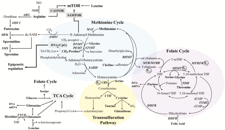 Figure 1.