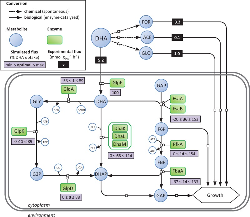 FIG 2