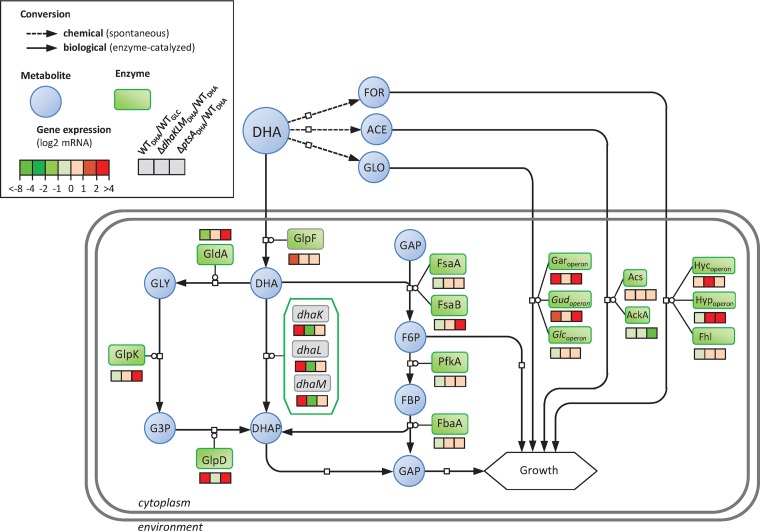 FIG 3