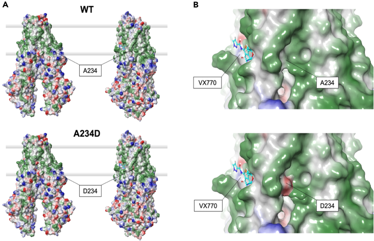 Figure 2