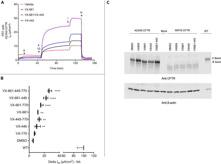 Figure 7