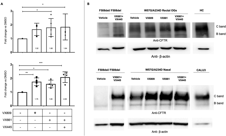 Figure 6