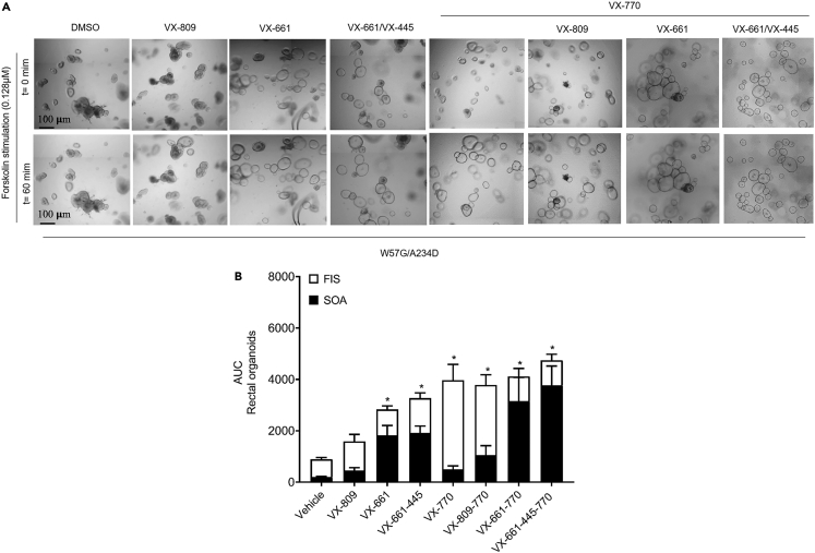 Figure 3