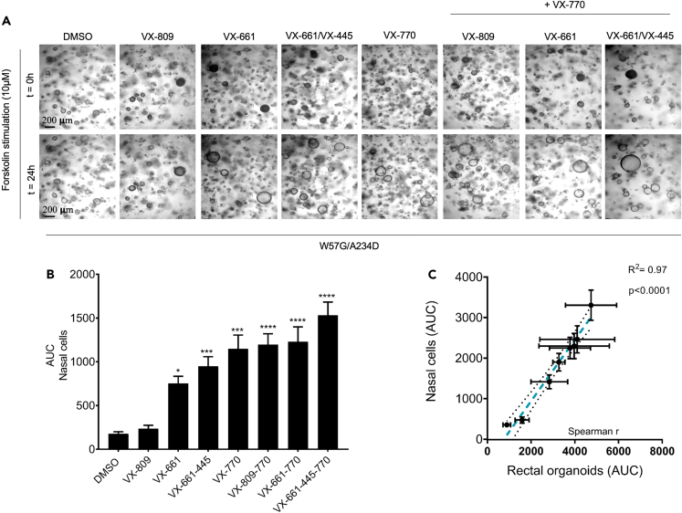 Figure 4