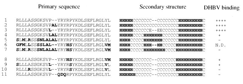 FIG. 10