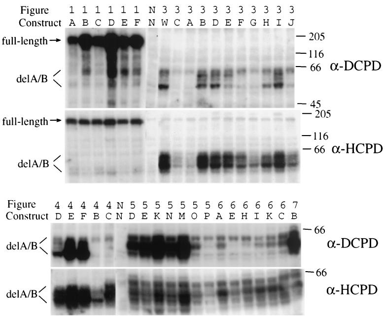 FIG. 8