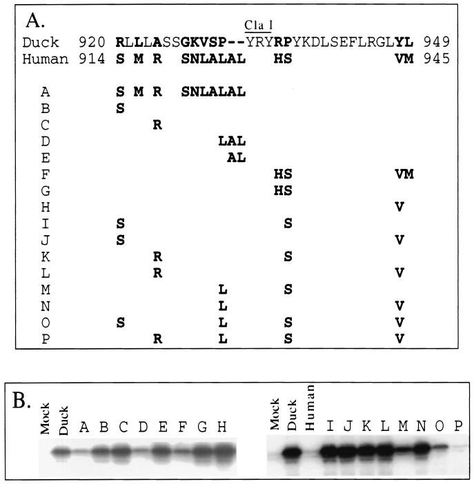 FIG. 5