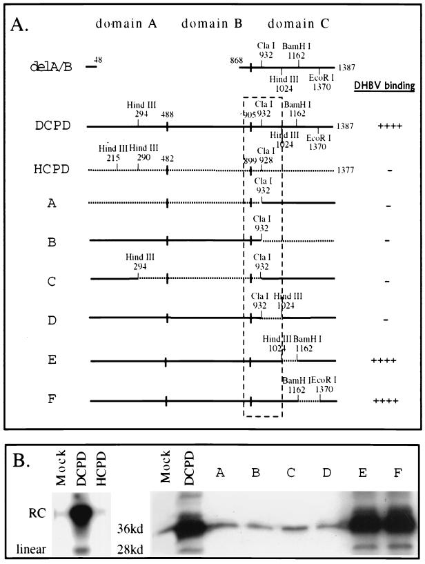 FIG. 1