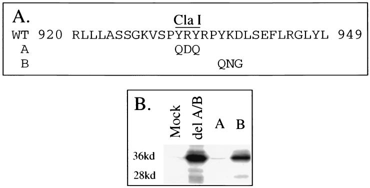 FIG. 7