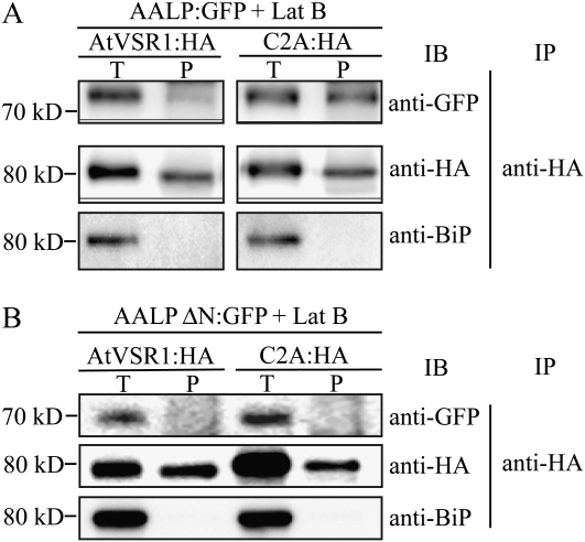 Figure 10.