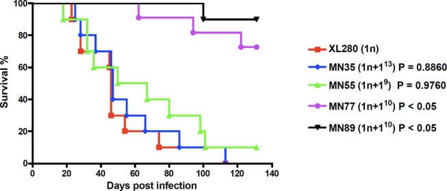 Figure 7