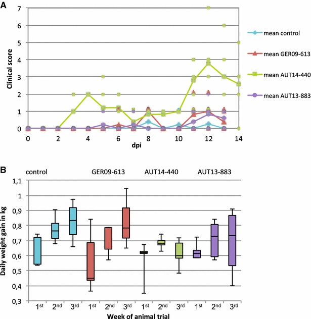 Figure 4