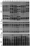FIG. 5