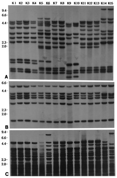 FIG. 5