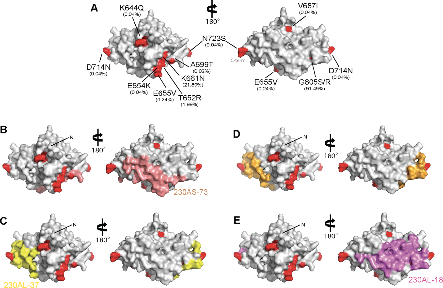 Figure 4.