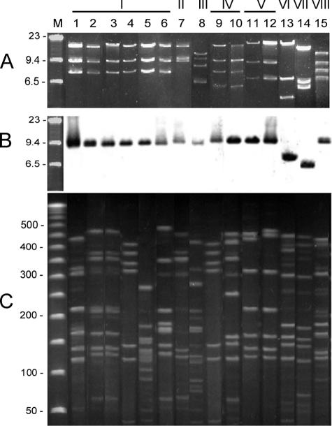 FIG. 1.