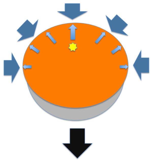 Extended Data Figure 7