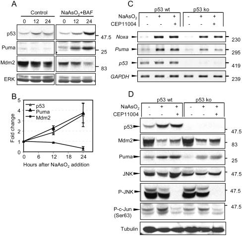 FIG. 5.