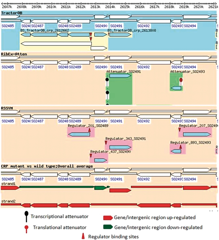 Figure 4.