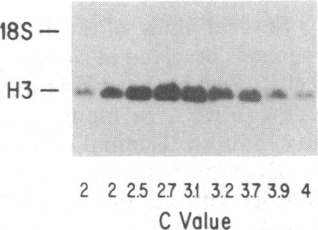 graphic file with name pnas00356-0095-c.jpg