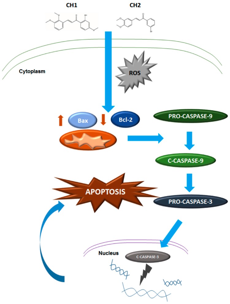 Figure 12