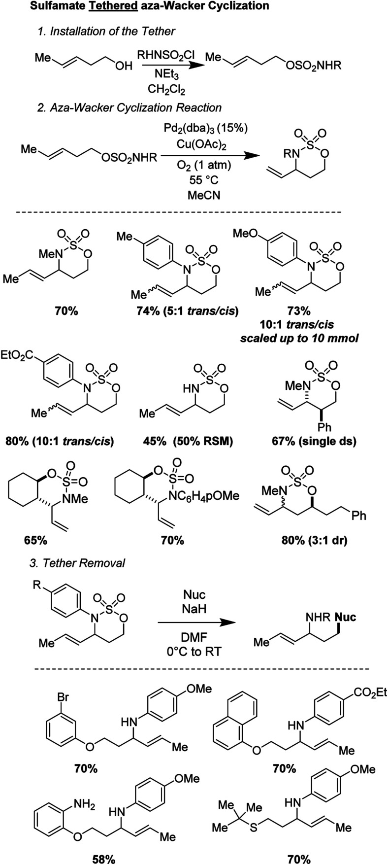 Fig. 16