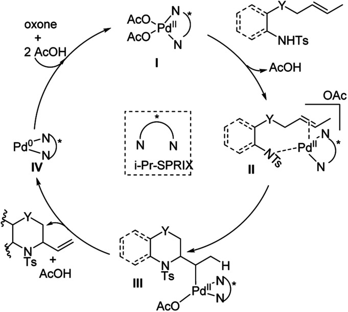 Fig. 24