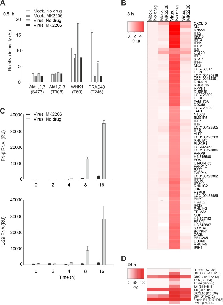 FIG 3