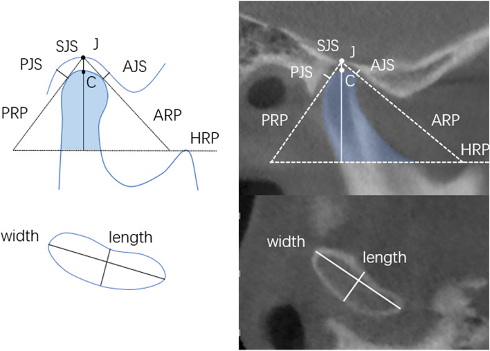 Fig.2
