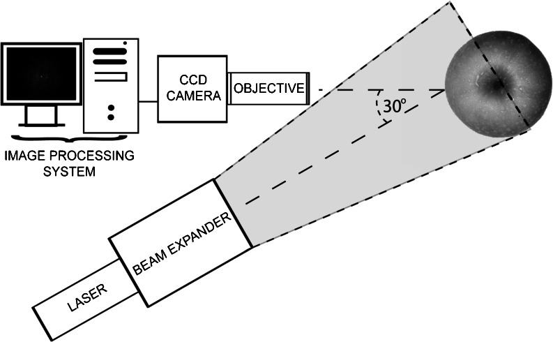 Fig. 2