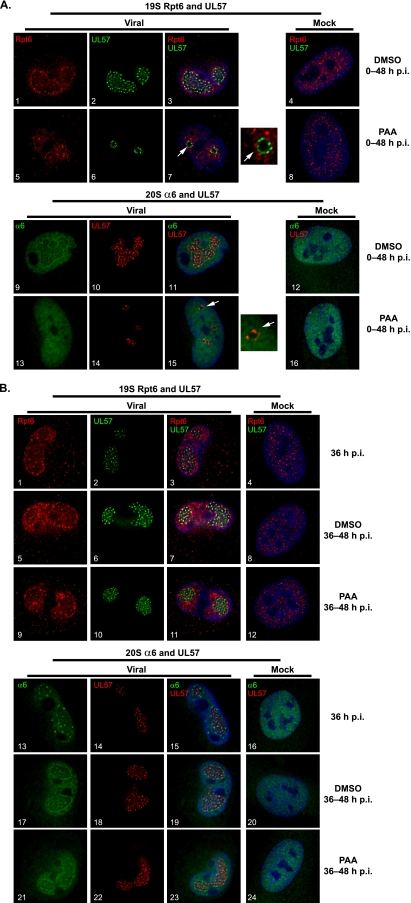 FIG. 7.