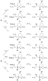 Scheme 5