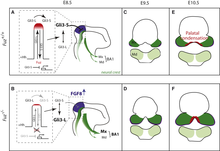 Figure 7