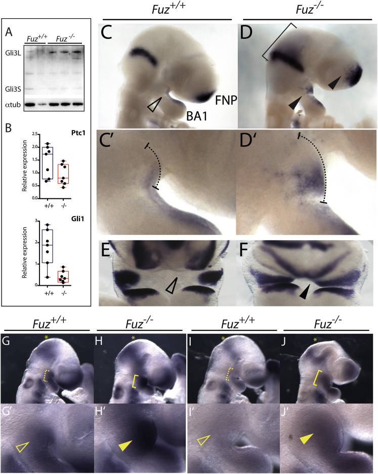 Figure 3